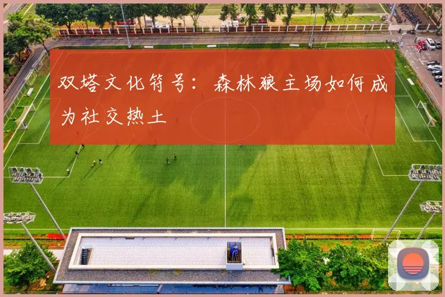 双塔文化符号：森林狼主场如何成为社交热土