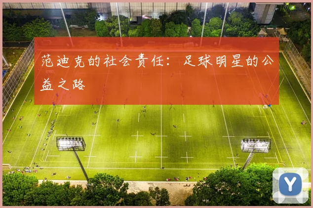 范迪克的社会责任：足球明星的公益之路