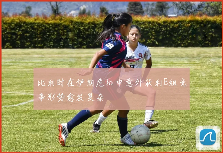 比利时在伊朗危机中意外获利E组竞争形势愈发复杂