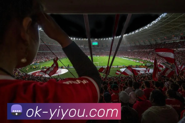 App Interface Preview